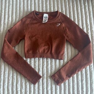 Adapt Fleck Seamless Long Sleeve Crop Top